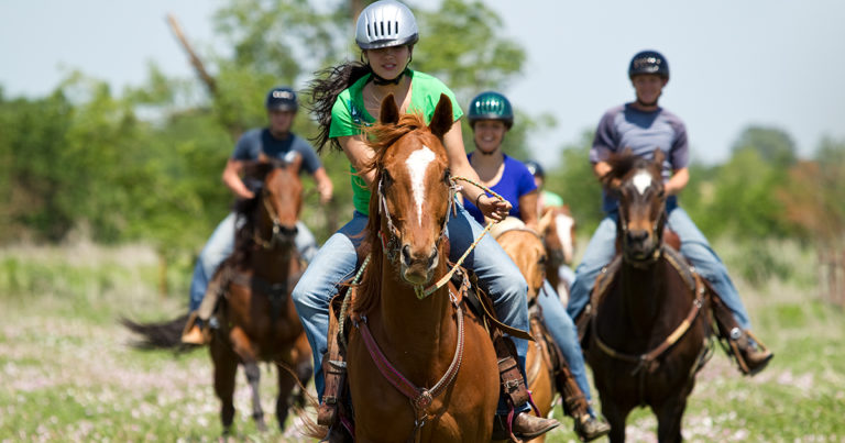 It’s good horse sense to review guidelines before yelling ‘Giddy-up!’