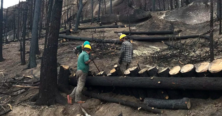 Philbreak 2019: Spend your spring break helping Philmont recover from wildfires